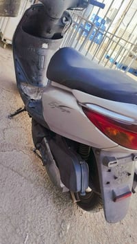 بريز رمبة • نزلت ١٠ ايام • شعب
