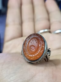 بسم الله الرحمن الرحيم اللهم صل على محمد وآل محمد وعجل فرجهم   عقيق يم...