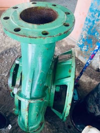 خنزيرة • فايق ١٠ب١٢ • هندي ١٠ب١٠