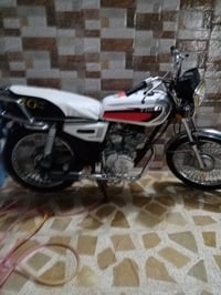 تيكر • مطوّر • مو مضروب