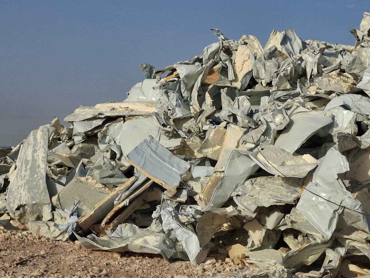 خاص *********** بغداد المحمودية, بابل
