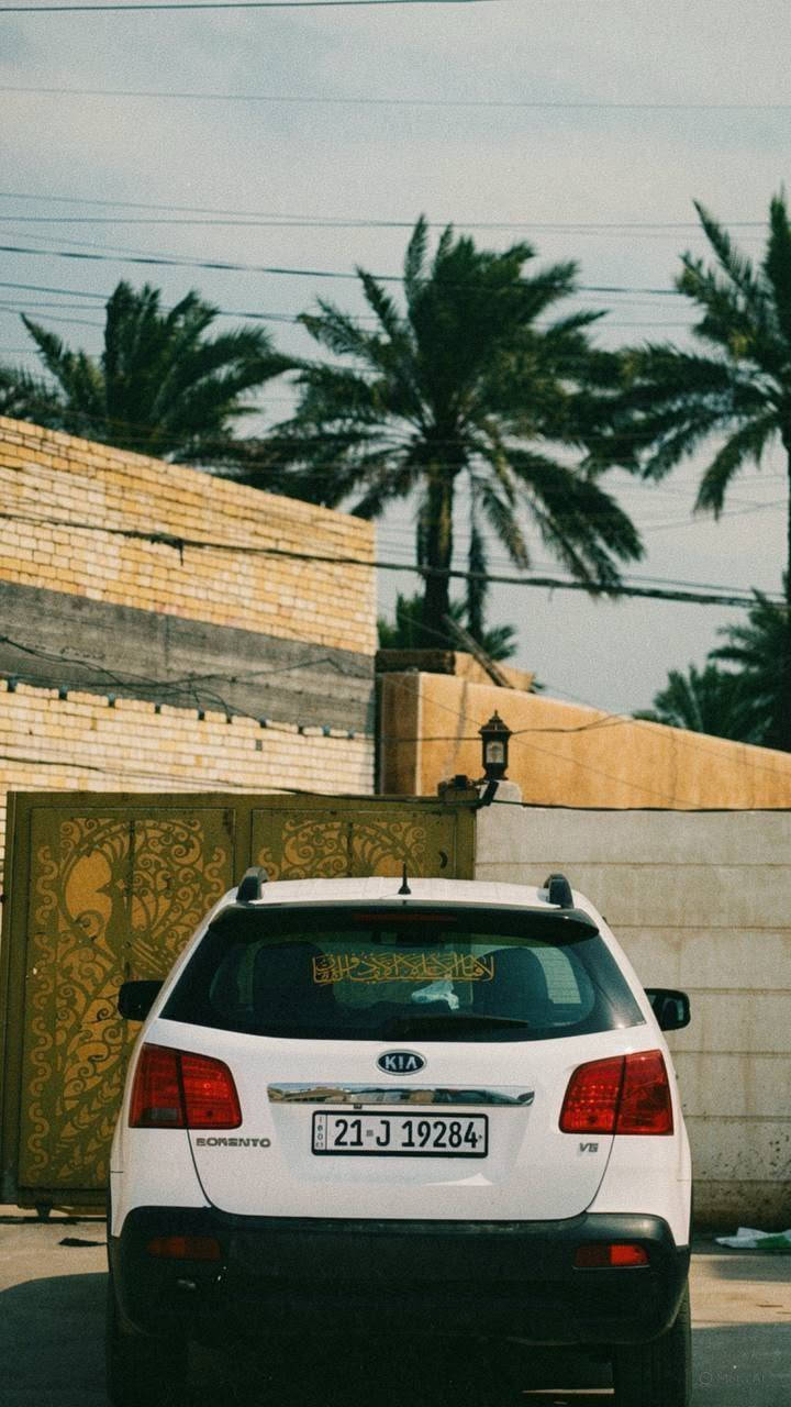 للبيع سورنتو 2013
خليجي مكينة 2400
7 راكب و3 قطع تبريد  لد اماي خلفي ودواخل بلادي 
كاملة ع اخر حباية ربع متصرف عليها
بيها صبغ صفحة لسايق شرد بدون دواخل حتى داخل لباب ممصبوع ومامفتوحات لبوب
كلش حلوة ونضيفة
كامل مواصفات عدا البنوراما
سيارة مال جناية ادامة كاملة تخم تاير جديد صدر خير من الله
للبيع ب125 مكانها بغداد ***********
