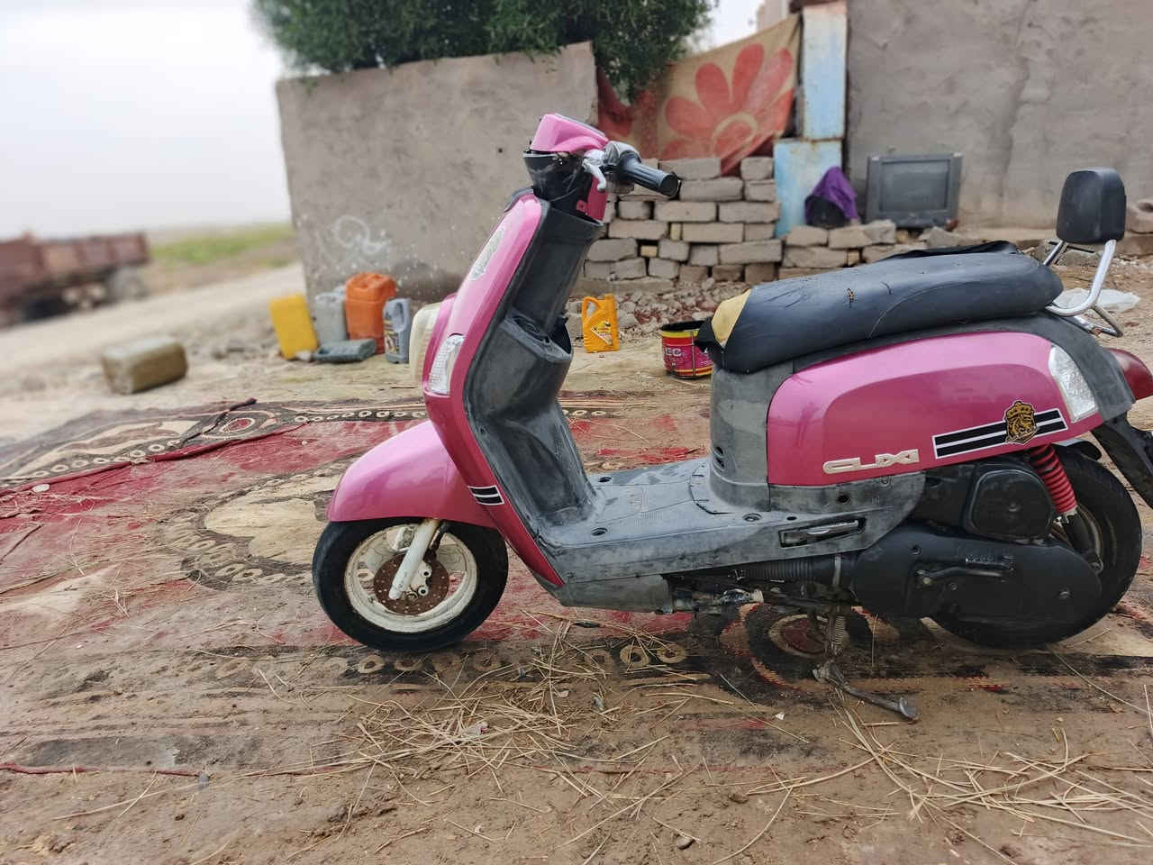 بوليسي • مامفتوح • كفالة