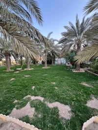 بستان وفله • دونم • أبي الخصيب