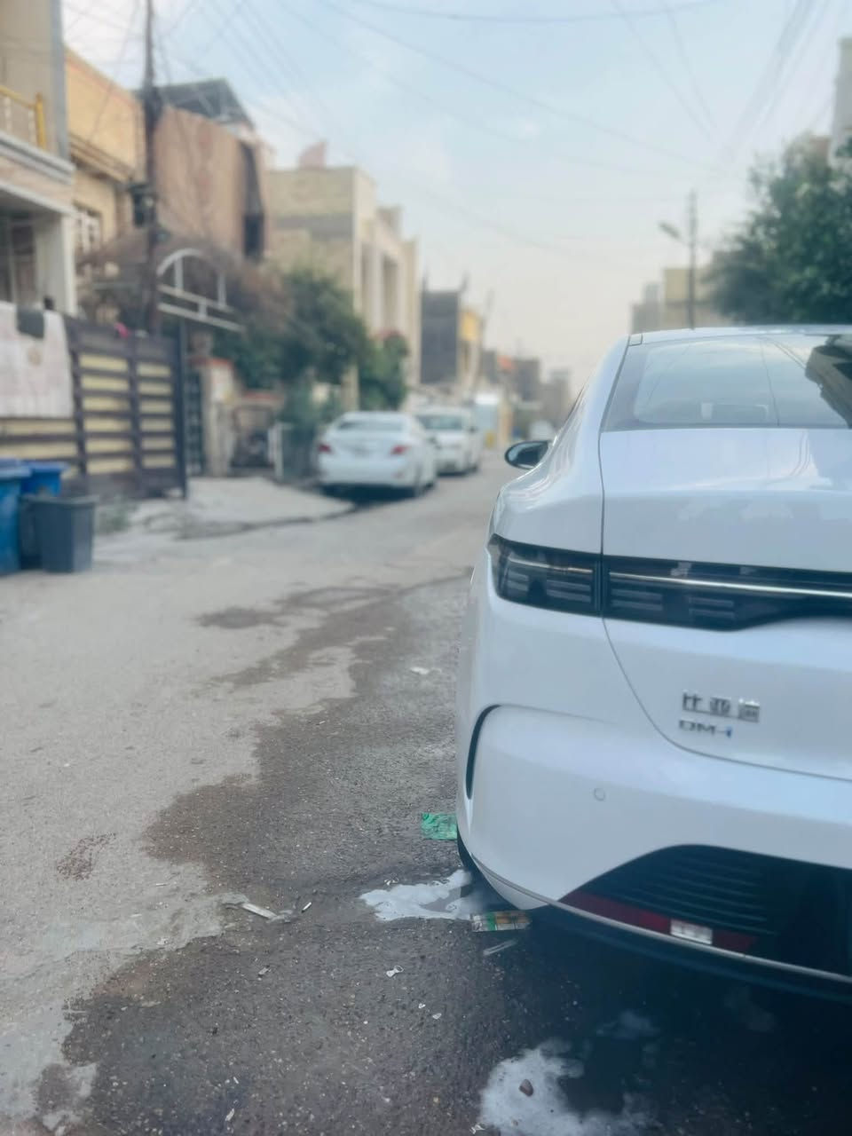 ديسروير • ٢٠٢٥ • ايرباك ١٢