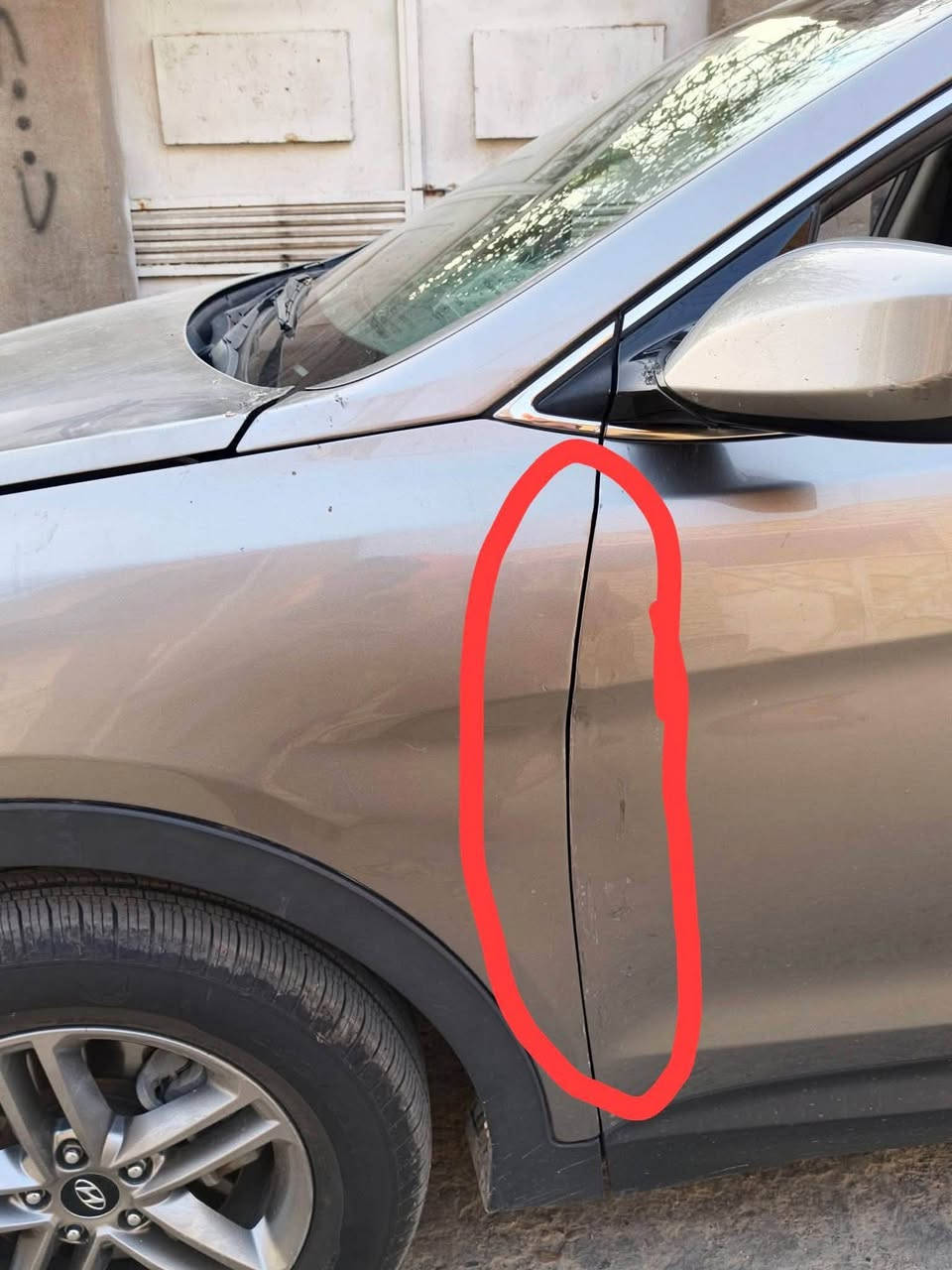 سنتافيا ٢٠١٨ • ٧ راكب • وارد امريكا