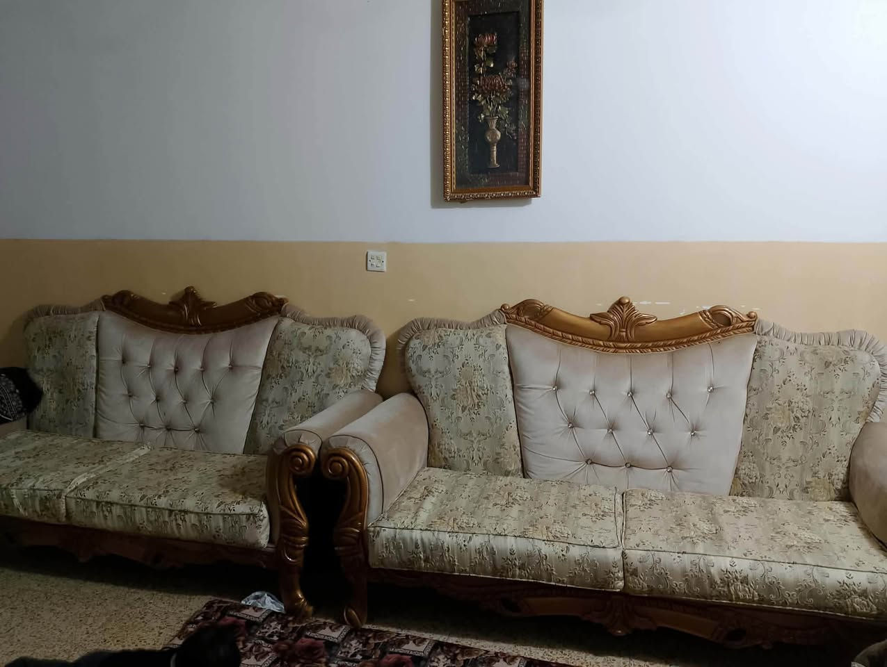 قنفات ملكي • خشب صاج • قابل تفاوض