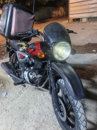 بوكسر • ٢٣ • مرقم