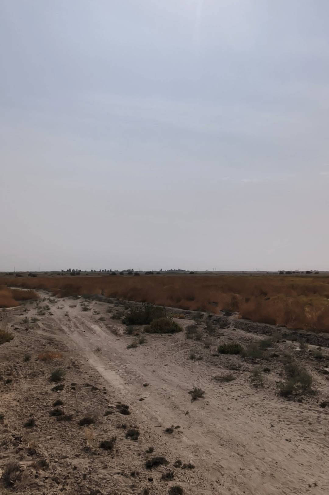 أرض زراعي • ٨٠ دونم • على نهرين