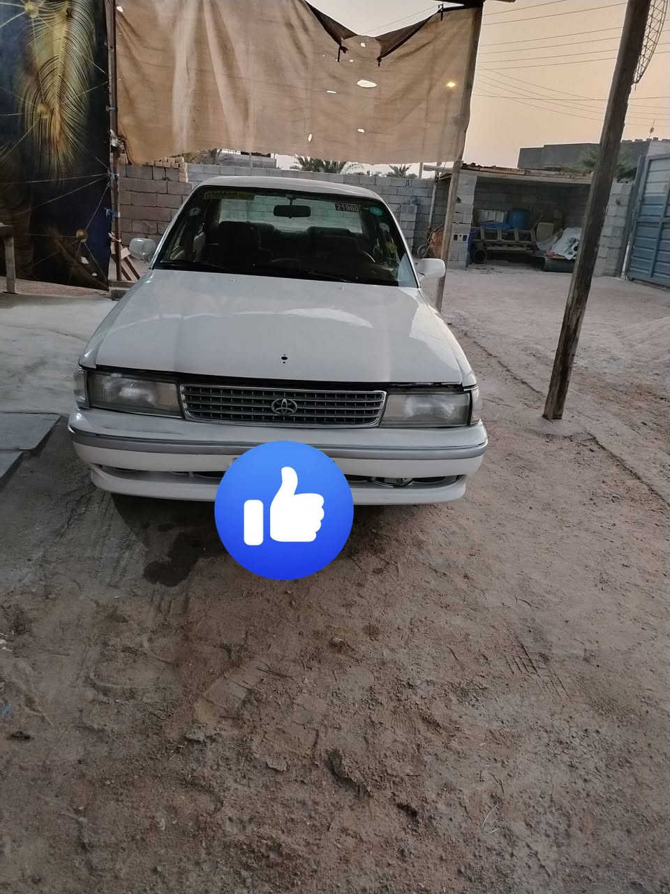 السلام عليكم كروسيده للبيع موديل 91مكفوله من كص ونقل جثه سنويه منتهيه صارله 10 اشهر بدون تبريد راعيه موجود بل بصره رقم نجف حداديه زينه كيرها ومكينه ونجي السعر 40وبيه مجال العنوان البصره الهارثه رقم الهاتف ***********واتساب ***********
