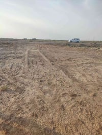 دونم • طريق الامام المحسن • واجهة على التبليط