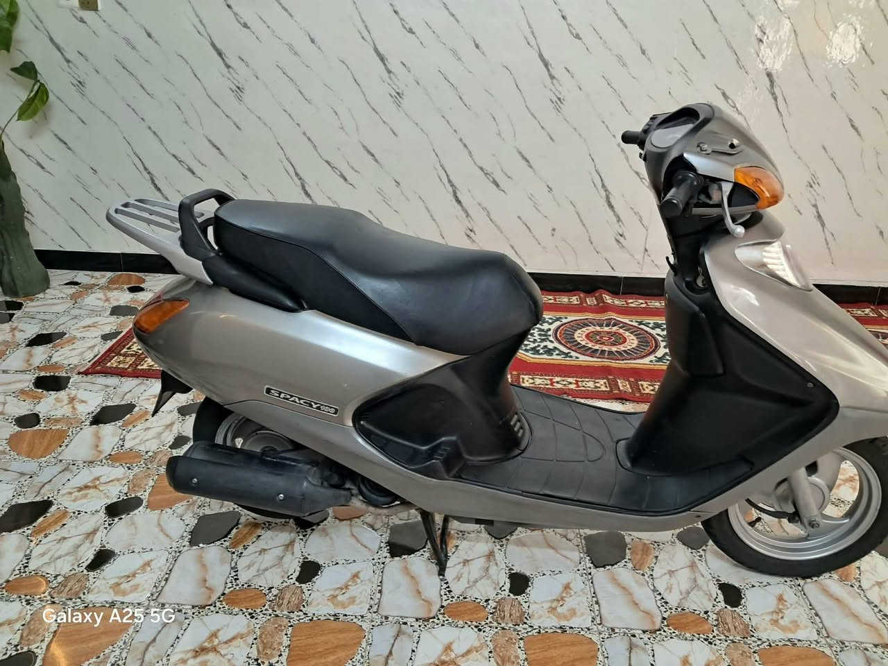سبيسي • ياباني • مكفوله