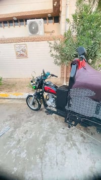 ستوته • موديل ٢٥ • فحل عالي