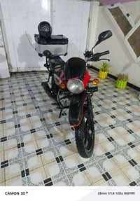 بوكسر • جبلي • مرقمه