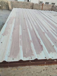 جينكو • ٨ قطع • صوب البوحمدان