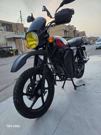 بوكسر • جبلي • ٢٠٢٣