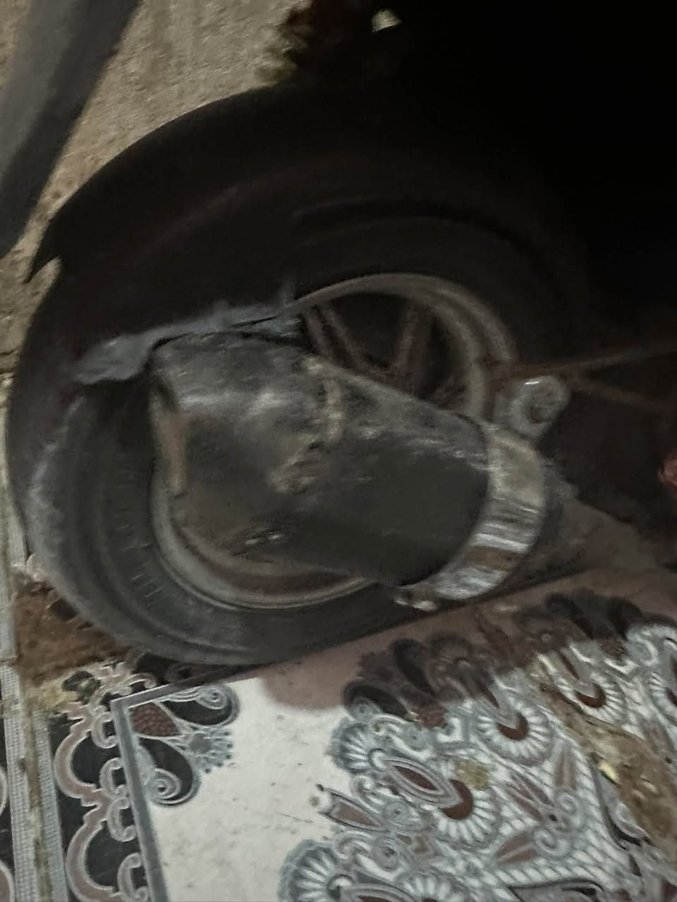 مرواس • كزوز بلادي