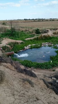 الاوسمه • سند ٢٥ • ١ دونم
