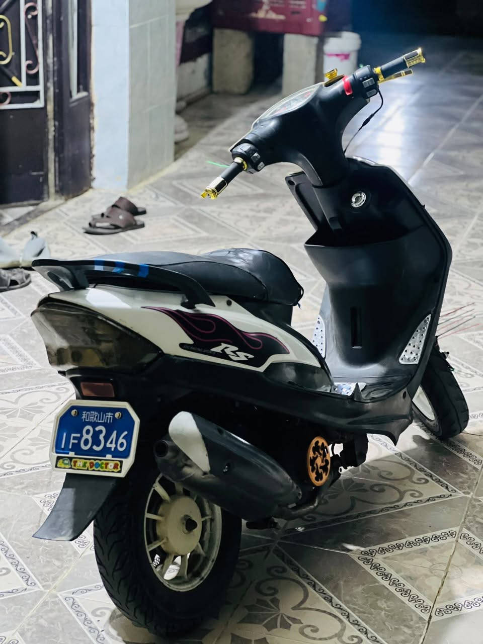 ماكس بوشه • ٥٥ • معدل فول
