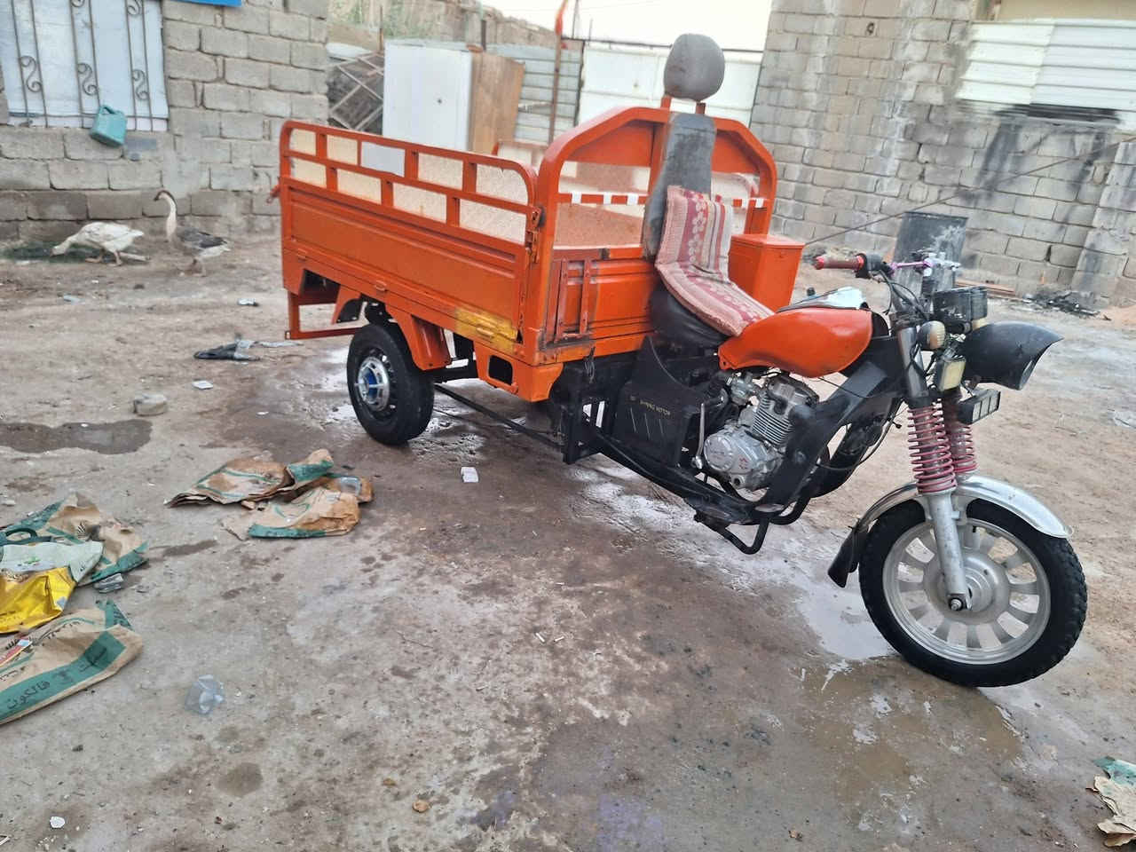 سلام عليكم ستوته جمره ادوات كفاله شاصي بلاد مكفوله من كلشي  كهربيات كله شغاله ما نقصه شيى وانضف من الصور  قفله مليون و١٠٠  ادوات مال جاني ستوته وهذا رقمي *********** عنواني بصره ابو الخصيب
