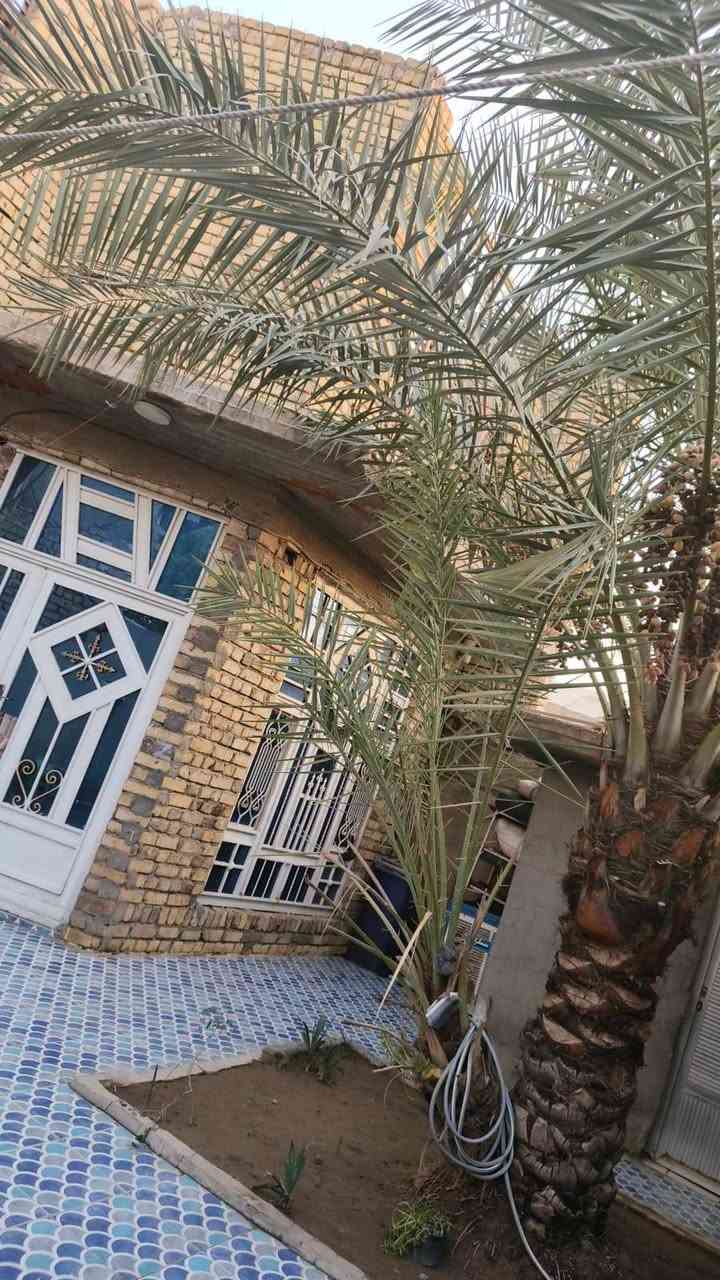 حي الحكيم • ٢٠٠م • بناء طابوك