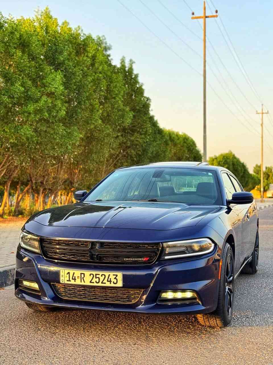 تشارجر SXT • ٣٦٠٠ سي سي • بدون حادث