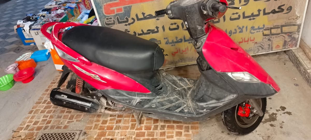 ثعلب • سكنس • مراوي