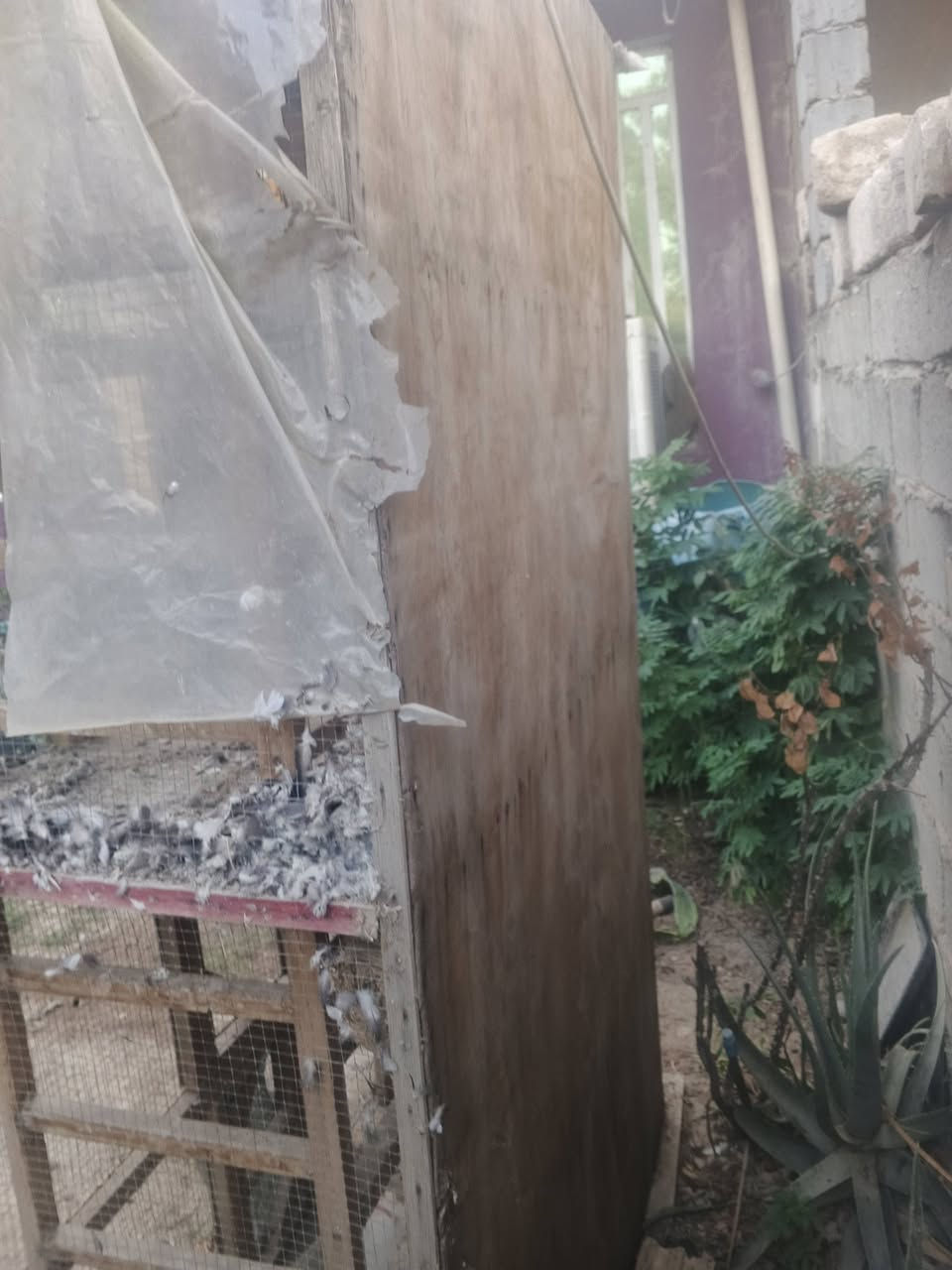 قفص للبيع طول مترتين وشويه العرض متر ونص مقسوم نصين سعره 35 وبي مجال ***********

