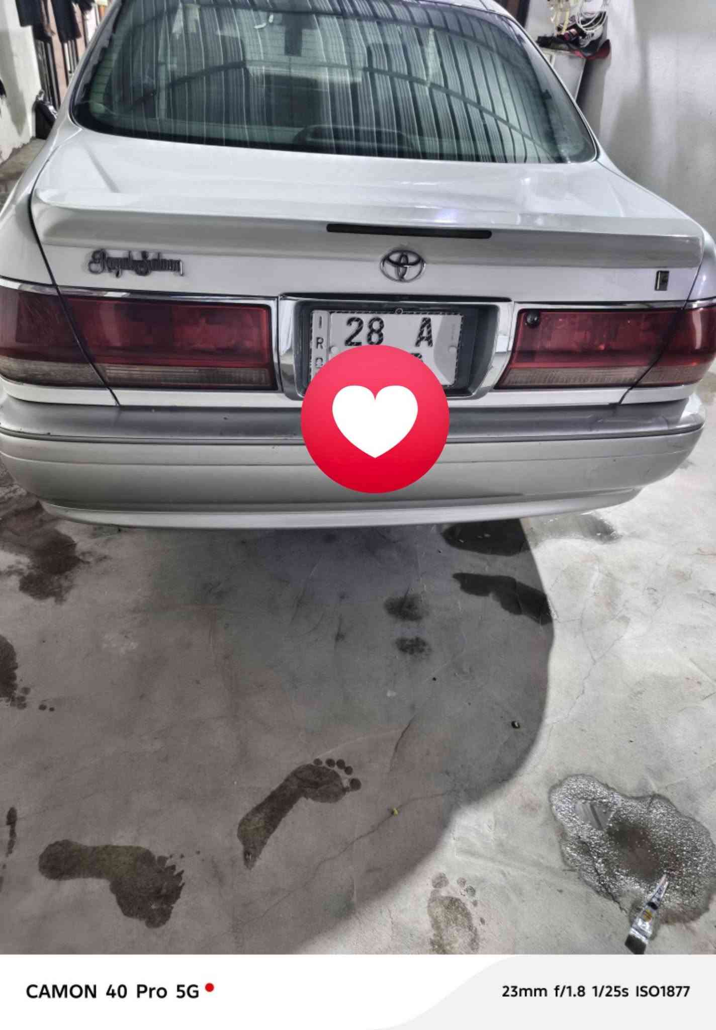 ملكه • بصرة • جاهزه