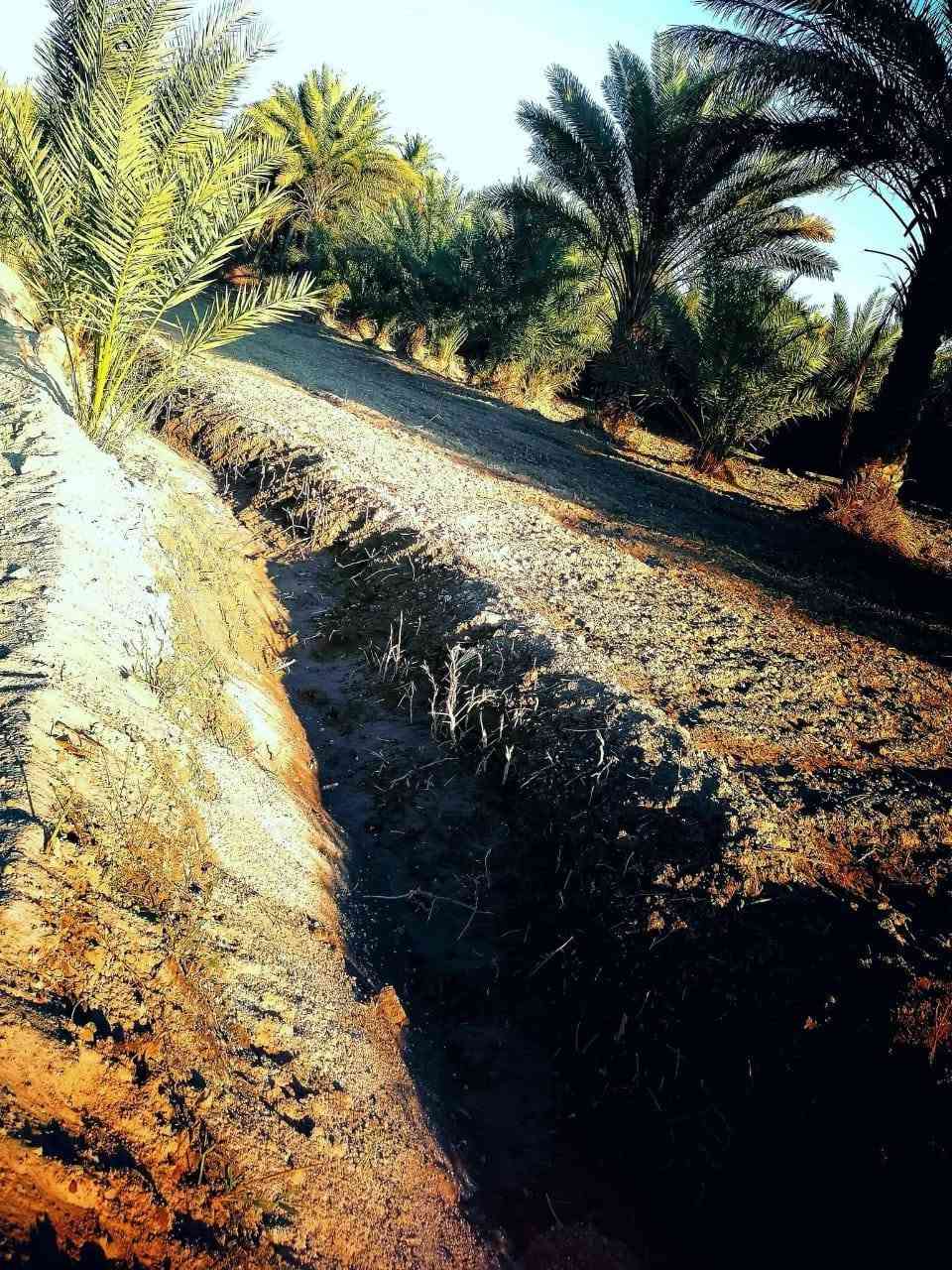 دونم • بيت ٣١٢م • ٥ غرف