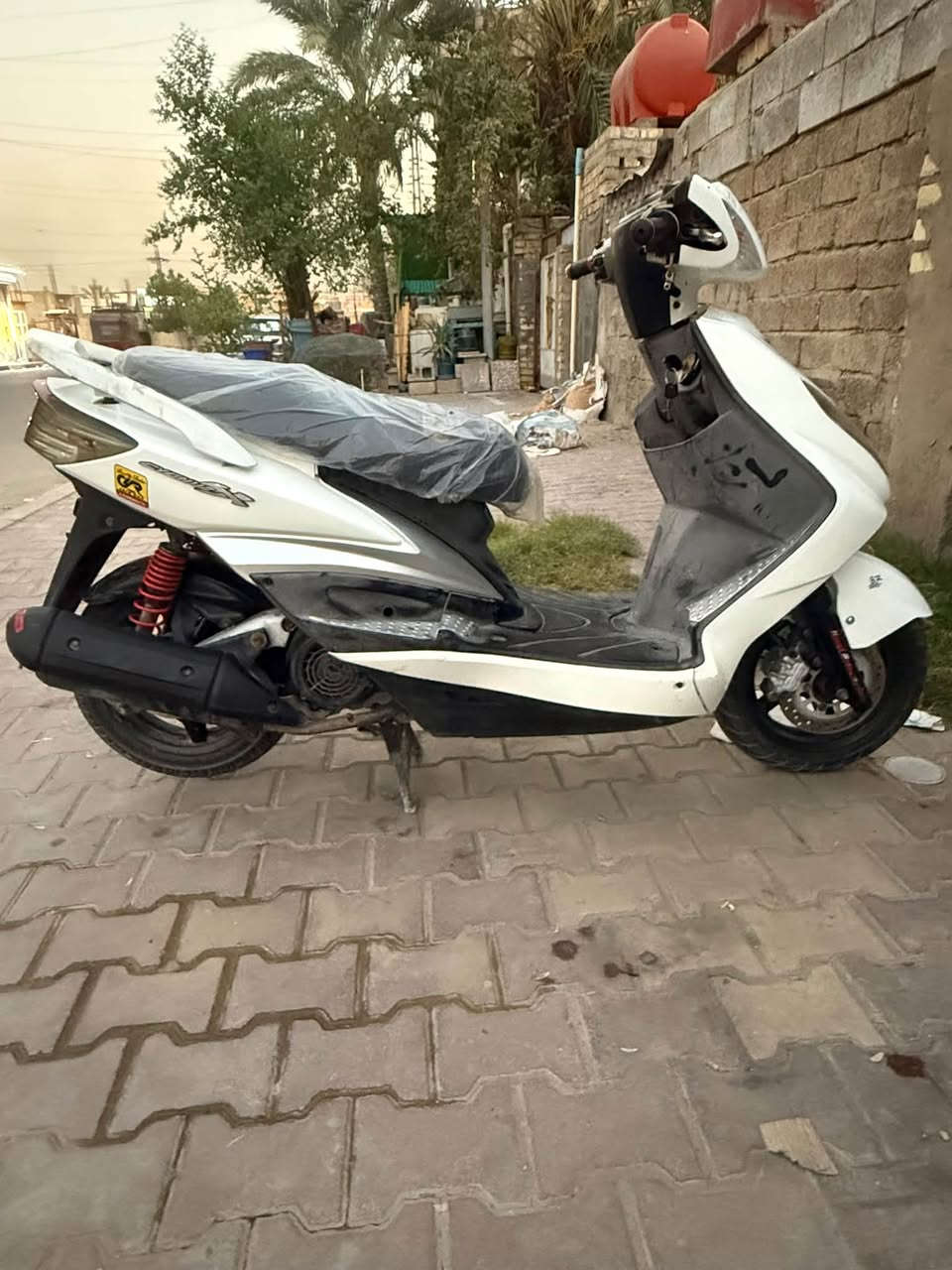 سكنس فحل • كابريتر • مكفول