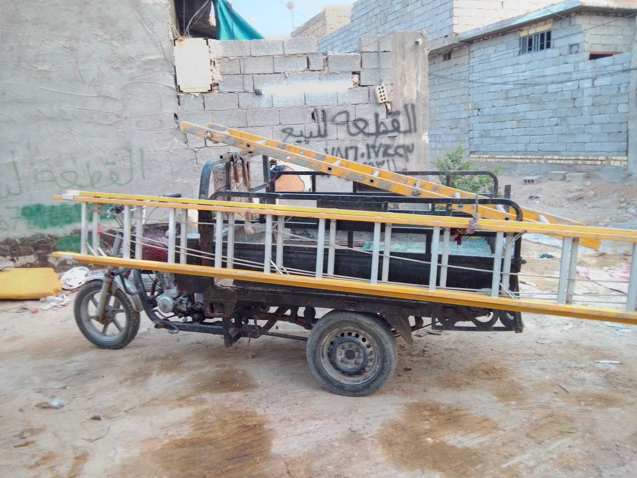 ستوته • شغاله • كربلاء