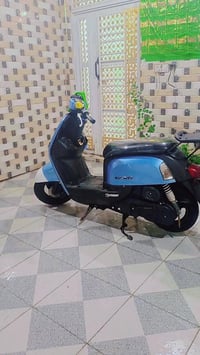 بوليس • نضيفه • رتبه