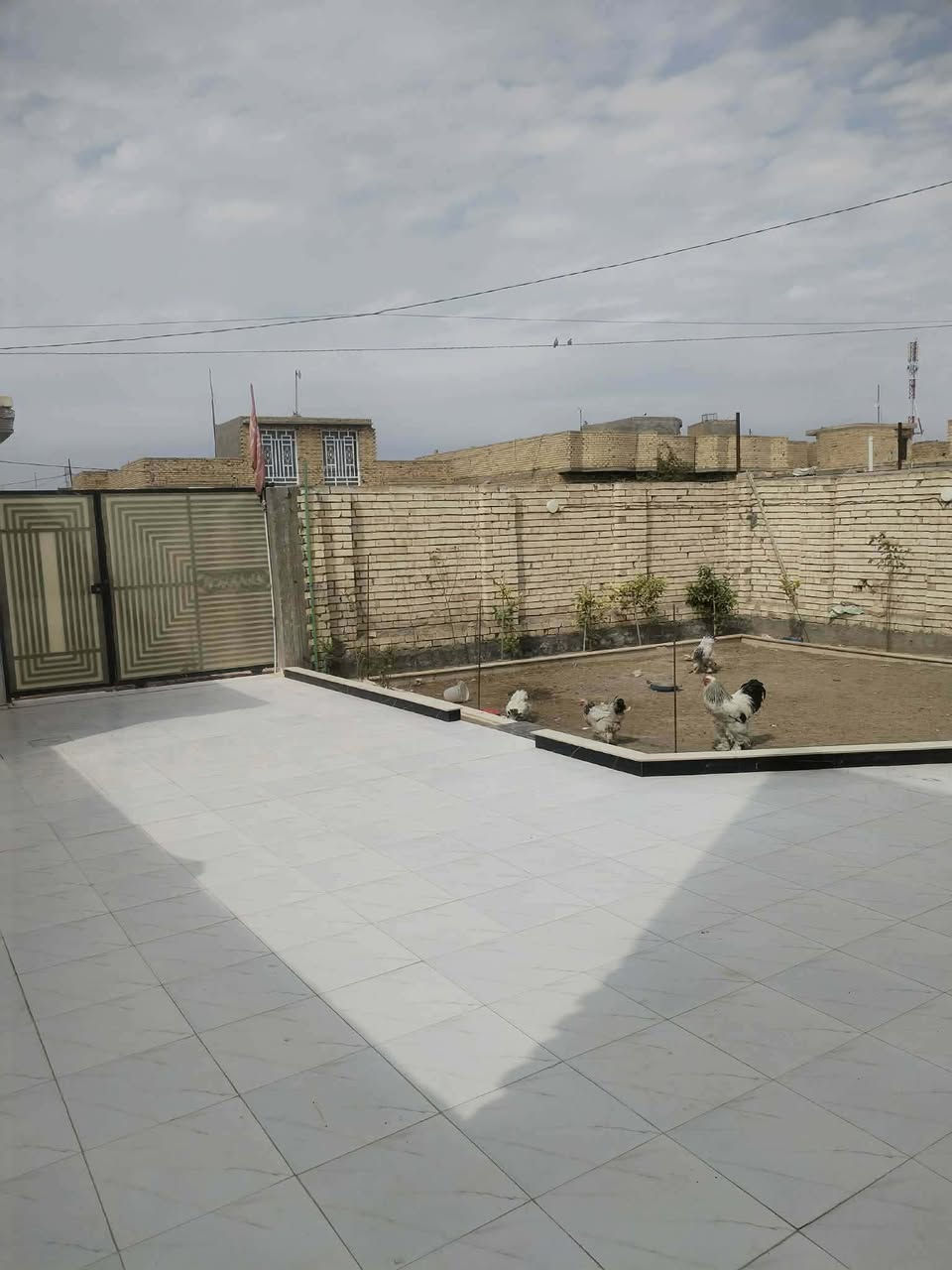 السلام عليكم ورحمه الله وبركاته تم تنزيل السعر
دار للبيع طابو ملك زراعي سند 25
العنوان الحمزة الغربي حي الحوراء قرب حسينيه عبد الاخضير موقع مميز وهادئ وراقي...المساحه الكليه 360م مربع تتكون الدار من طابقين ..الطابق الاول يتكون من غرفتين نوم وصاله كبيرة ومطبخ حار وبارد واستقبال كبير .ومجموعه صحيات داخليه و خارجيه.وحديقه واسعه وكراج واسع للسيارات..والطابق الثاني هيكل غير مسقف.. بناء جديد وحديث طابوق والسقف صب كونكريت شغل درجه اولى..  تتوفر جميع الخدمات ماء كهرباء مجاري ..السعر مناسب قياسا مع الاسعار المعروضه في نفس المنطقه...السعر 150 مع مجال جيد للشراي الجاد ...للشراء تفضل خاص او اتصل*********** واتساب
