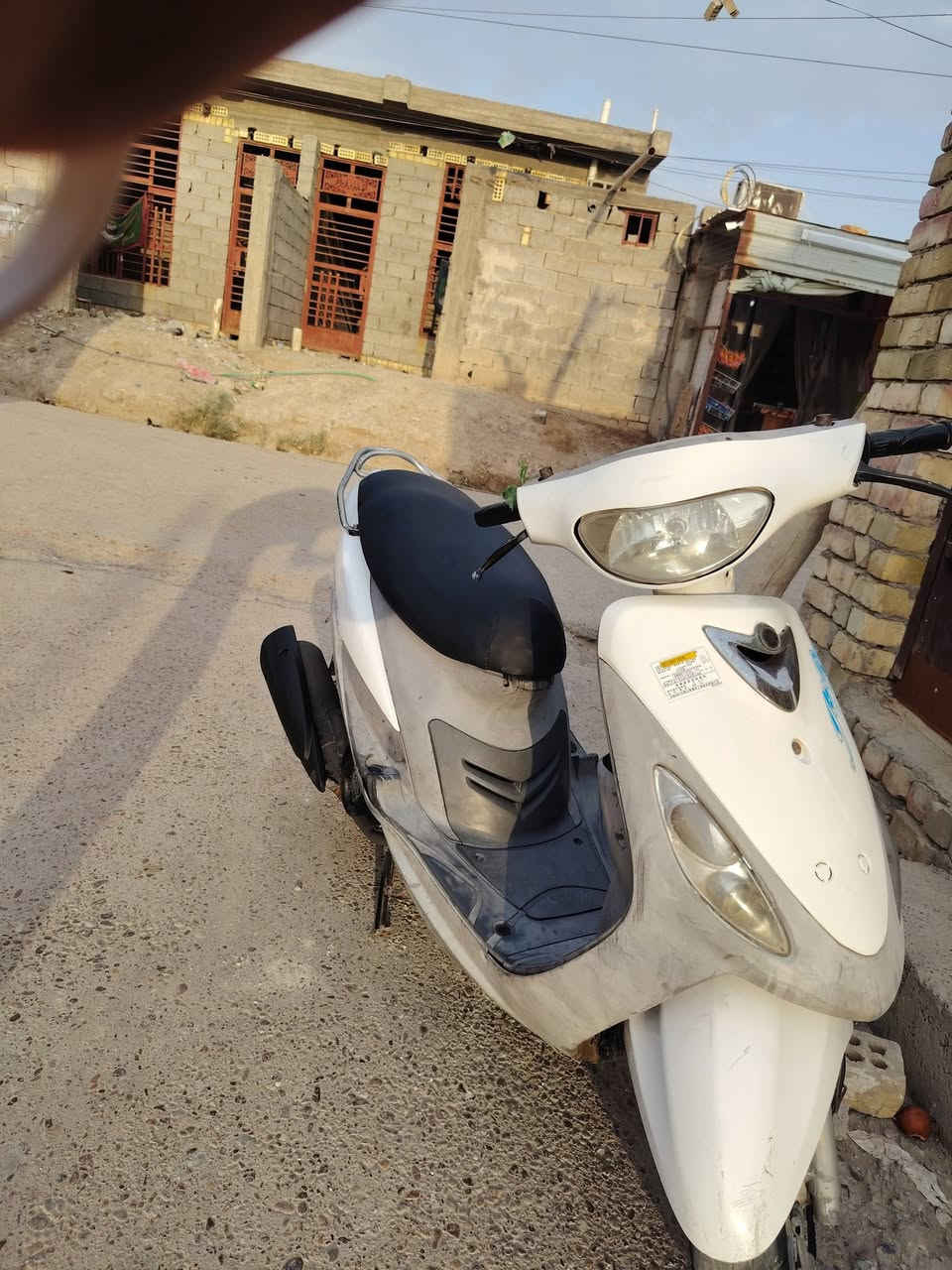 ماكس ملغولي • كفاله عامه • حالة جيدة