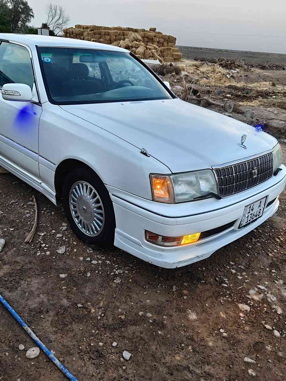 رأس الثور فلات • موديل 99 • مكفولة
