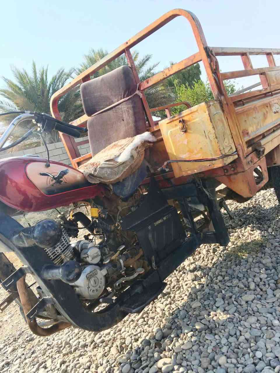 ستوته • شغال • فول مواصفات