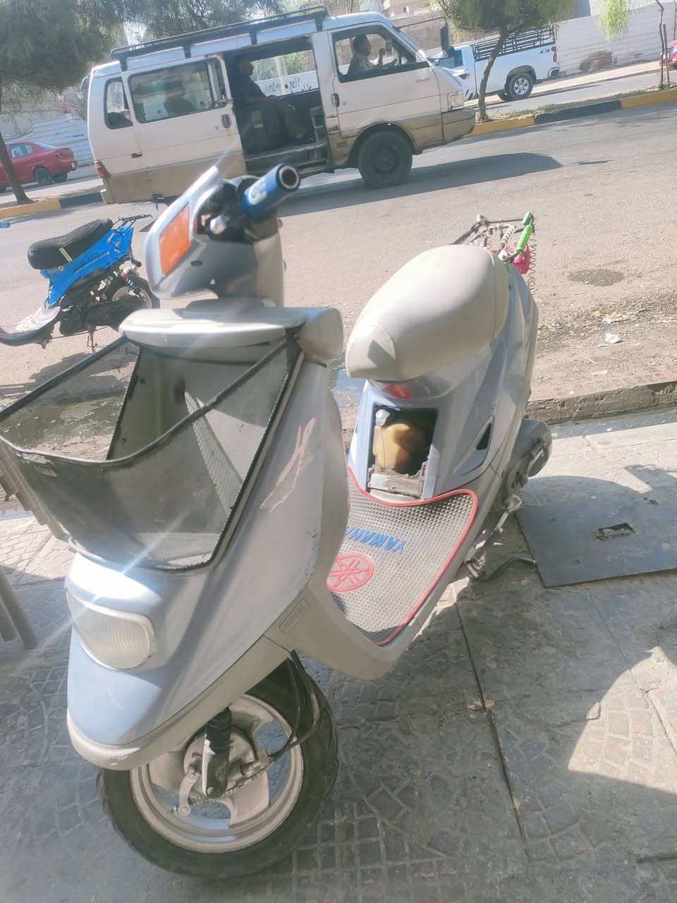 للبيع
ماطور بزونه برده 

مكينه ما مفتوحه بس قبق هندر شرط

درع اصلي 

وايرمنيه بلادي كلها شغاله 

شاصي شرط

مكاني فاروق ايمن 

السعر 350 وبي مجال بسيط الشراي 

الرقم ***********
