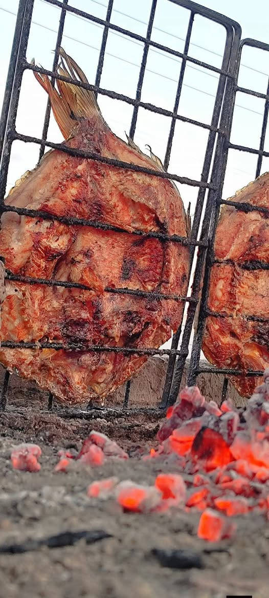 يعلن مطعم وأسماك الجسر (بإدارة الأخوين جاسم وحميد) عن توفر أشهى وأطيب أسماك داقوق الطازجة وبأقل الأسعار المنافسة!
💡 ثقتنا بعملنا مالها حدود:
"إذا ما يعجبك طعم السمك.. مرجوع والتكلفة علينا!" 🤝
طعم أصيل، نظافة عالية، وأسعار زهيدة تناسب الجميع. تعلّوا وجربوا بنفسكم والفرق تحكمون بيه!
📍 الموقع: الحويجه - جسر المصنعة
📞 للطلب والتوصيل / الاستفسار: ***********
أهلاً وسهلاً بكم، تنورونا بأي وقت! ❤️

