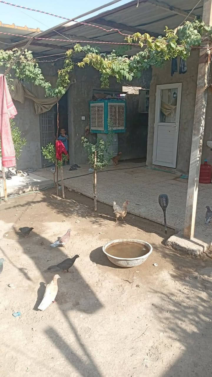 بيت تجاوز للبيع مساحه 250غرفتين وصاله ومطبخ وحمام السقف سندوتج وكراج حديقه العنوان زعفرانيه سعيده قرب حسينية سيد الشهداء منطقه المقلع 16 وهذه رقمي ***********
