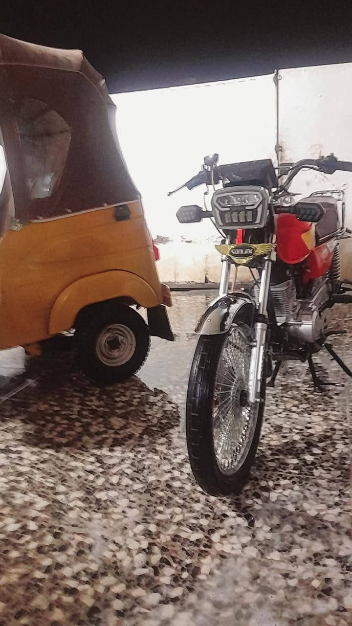 تايكر • ٢٠٢٤ • نضيف