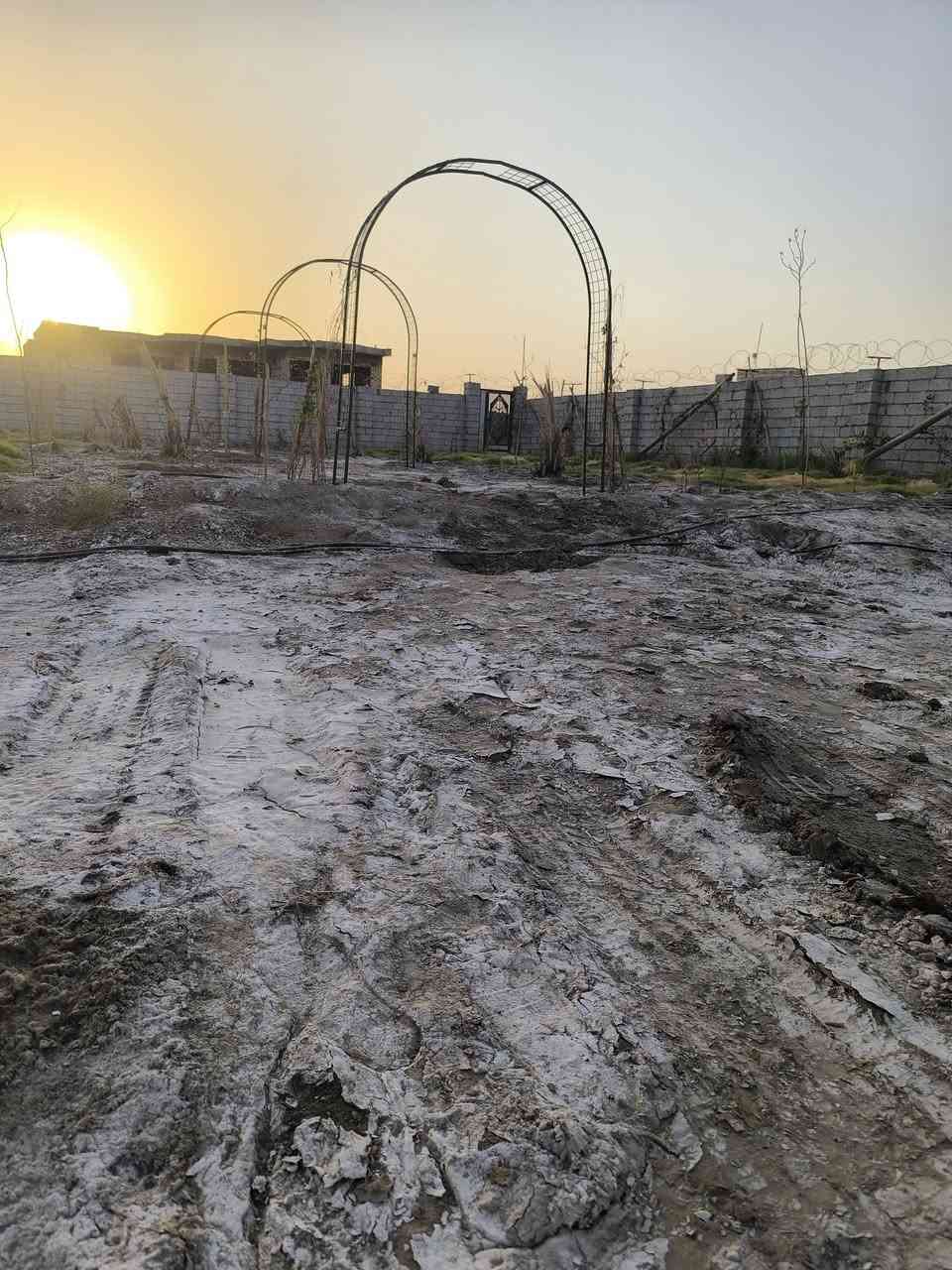 سلام عليكم قطعه طابو زراعي سند 25مساحته 1300متر مداور اسهم بسم المشتري مكانه حي المنصور الفلكه مال اليمام الحمزه عليه تنزل تبعد عن شارع 300مسيجه بلوك بيه مشتمل مامكمل باقي هيكل ماء كهرباء بيه لاستفسار عله رقم ***********
