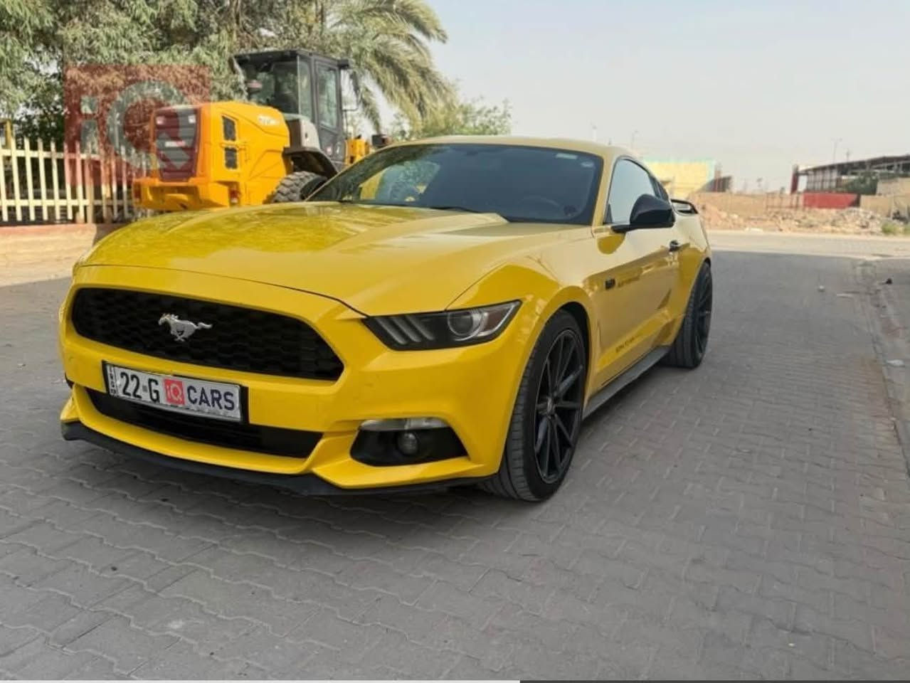 موستنك • ٢٠١٥ • رقم اربيل