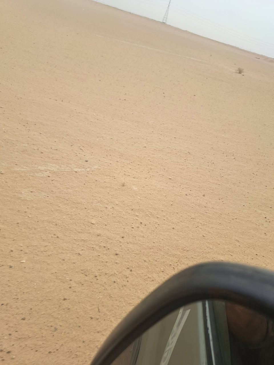 أرض زراعي ٧٥ دونم • كربلا شارع الستراتيجي • معمل ثرمستون