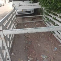 نجف • محجر كيه نثيه • يحتاج صبغ مكاني