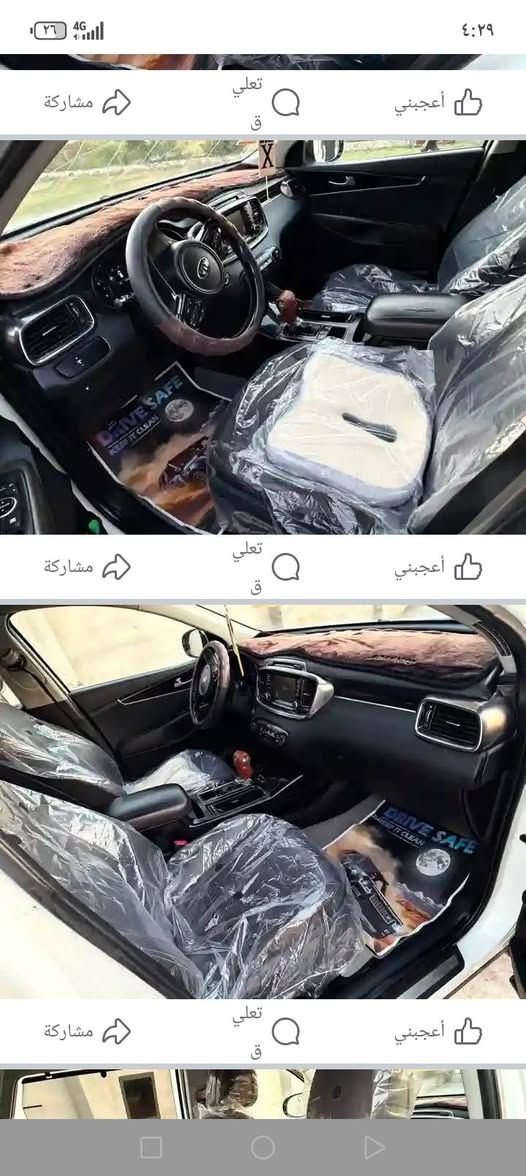٢٠١٥ • شكل ١٦ • ٣ قطع صبغ