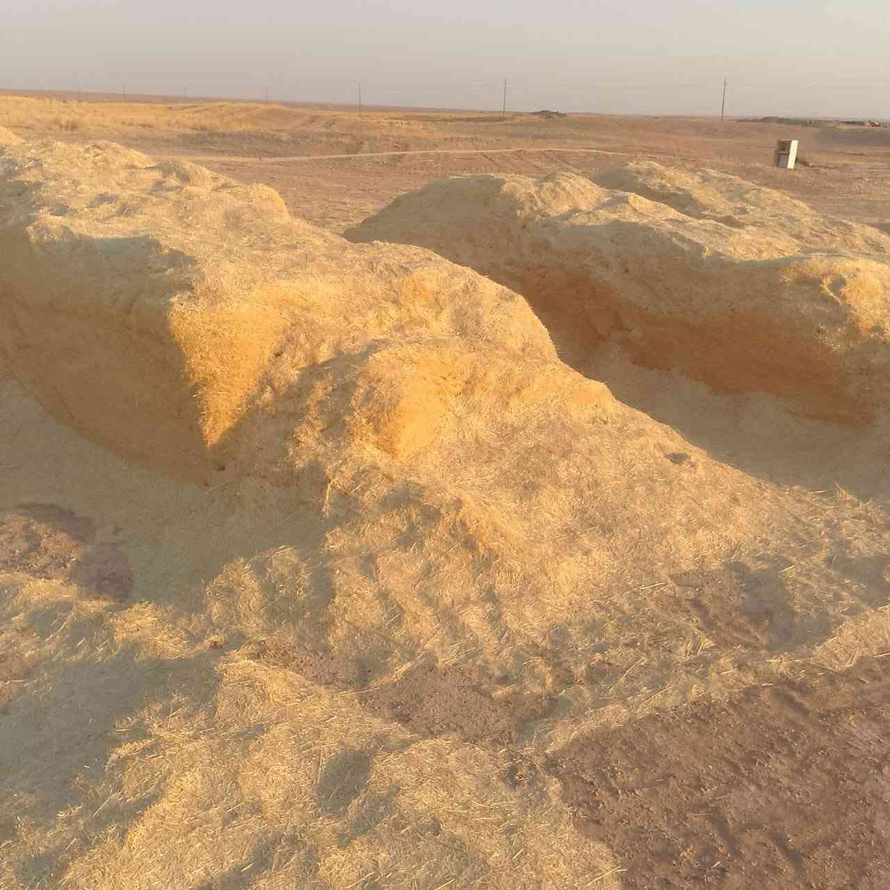 تبن • شليف ٨٠/٩٠ • السكران الغربي