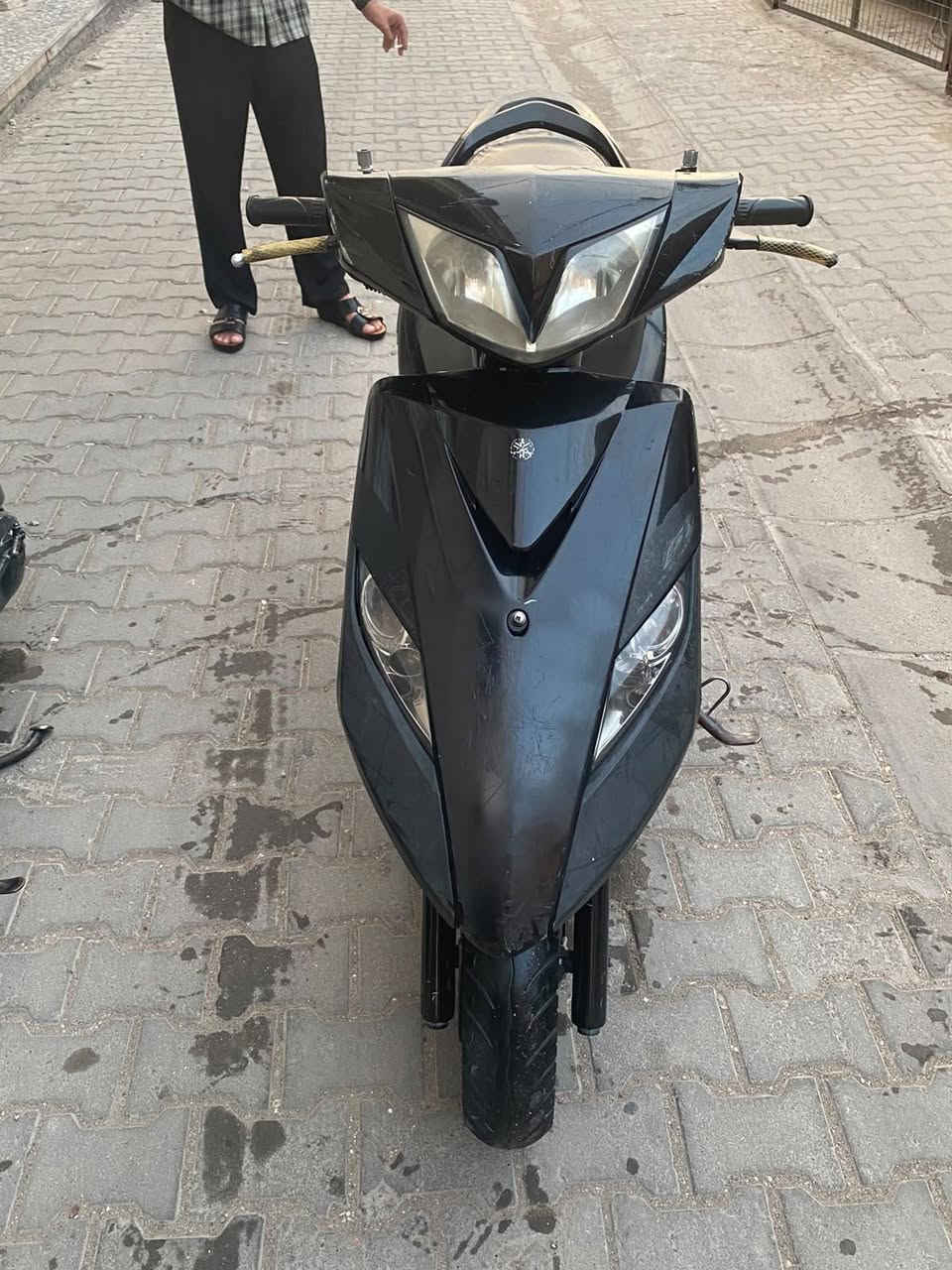 ثعلب • نضافه • دراجتين