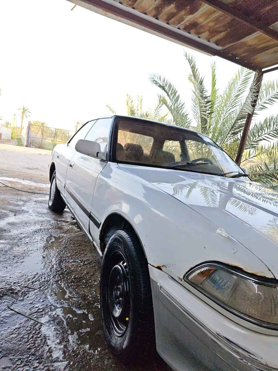 مارك كصيف ٩٤ مكينه وكير جدد المكينه توه مجفته لكير توني مبدله تقريبن ٦ اشهر نقصه حداديه خلفيه سياره نضيفه وسياره بسمي تحويل ثاني يوم  سعر ٤٠وبيها مجال بكانه بصره ابي الخصيب ***********
