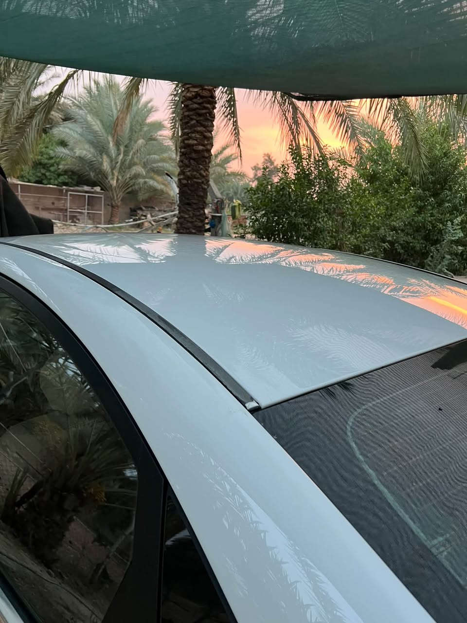 سوناتا شكل ١٤ • ٢٠١٣ • رقم بغداد